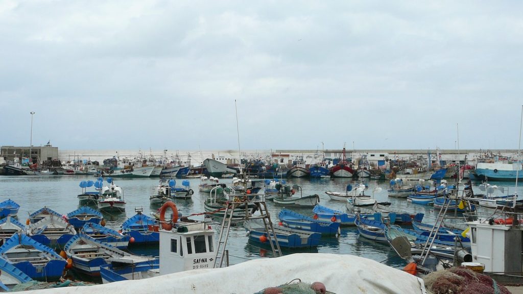 زيادة ملحوظة في مفرغات الصيد الساحلي والتقليدي بميناء واد لاو