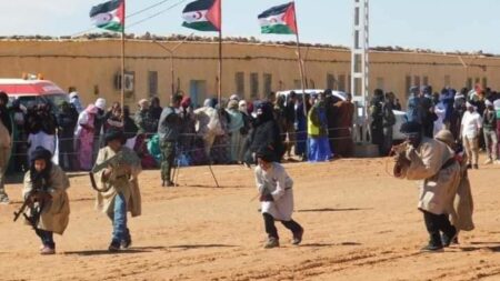 المغرب يدعو أمام مجلس السلم والأمن إلى استجابة قوية ومهيكلة لحماية الأطفال المرتبطين سابقا بنزاعات مسلحة