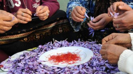 “ذهب أحمر”.. دراسات تكشف ما يفعله الزعفران بجسمك من الدماغ إلى القلب