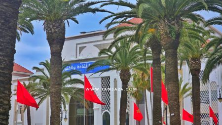 باسم إليسا وكاظم الساهر.. حفل وهمي بطنجة يسقط عشرات الضحايا في شباك الاحتيال