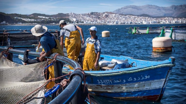 غلاء المحروقات يخنق قطاع الصيد البحري في طنجة وسط تحذيرات من شلل تام وتسريح للعمال